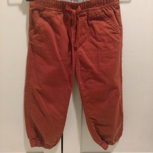 Tucker + Tate Size 24 Months Boys' Pants
